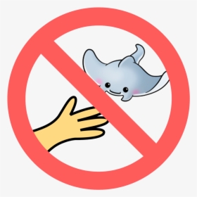 No Touching Or Chasing Marine Life - Bacteria Protection Png, Transparent Png, Transparent PNG