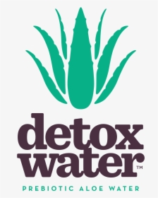 Transparent Tiffany Hwang Png - Detox Water Logo, Png Download, Transparent PNG
