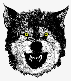 Wolf, Predator, Mascot, Wild, Fierce, Growl, Wildlife - 人 狼, HD Png Download, Transparent PNG