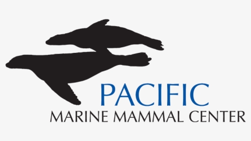 Pacific Marine Mammal Centre, HD Png Download, Transparent PNG