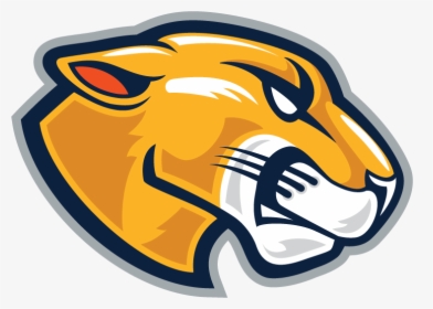 Tb-lion Head - Lion Mascot Logo Png, Transparent Png, Transparent PNG