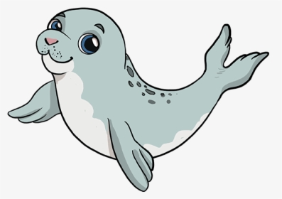 How To Draw Baby Seal - Draw A Baby Seal, HD Png Download, Transparent PNG
