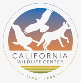 California Wildlife Center, HD Png Download, Transparent PNG