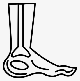 Foot X Ray - X Ray Icon Foot Png, Transparent Png, Transparent PNG