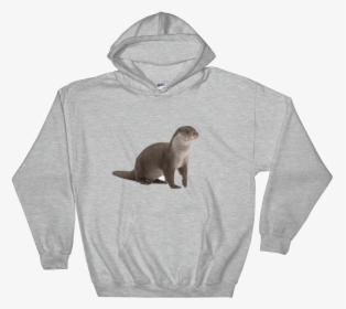 Class Lazyload Lazyload Mirage Cloudzoom   Style - Hoodie, HD Png Download, Transparent PNG
