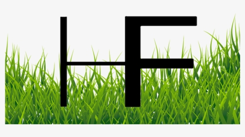 What Other Items Do Customers Buy After Viewing This - Grass Images For Editing, HD Png Download, Transparent PNG