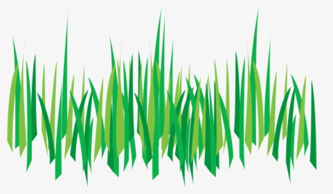Weed Control Tempe Az - Transparent Background Cartoon Grass, HD Png Download, Transparent PNG