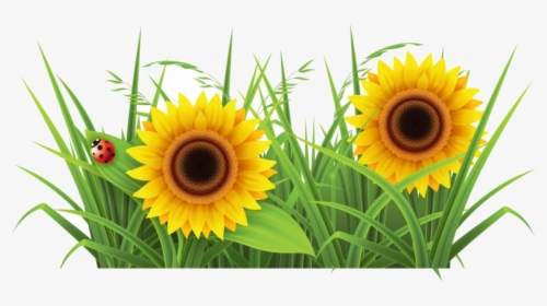 Grass Sunflower Background Images Clipart Free Transparent - Grass Png Clipart Transparent, Png Download, Transparent PNG