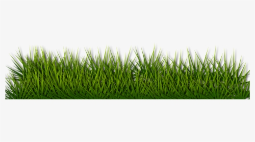 Background Border Grass Green Herb Landscape - Green Floor Png Grass, Transparent Png, Transparent PNG