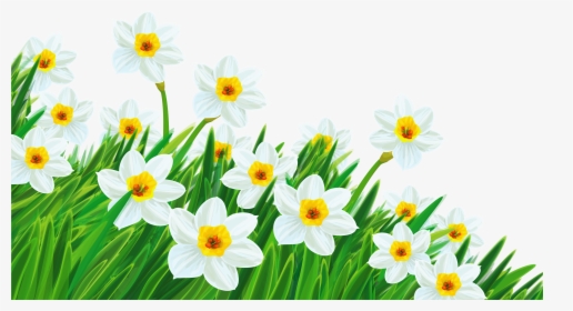 Grass Clipart With No Background - Transparent Background Clip Art Flowers, HD Png Download, Transparent PNG