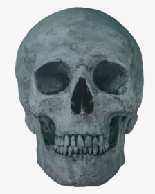 Skeleton Head Png, Transparent Png, Transparent PNG