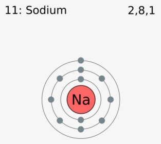 548px-electron Shell 011 Sodium - Electron Shell Of Sodium, HD Png Download, Transparent PNG