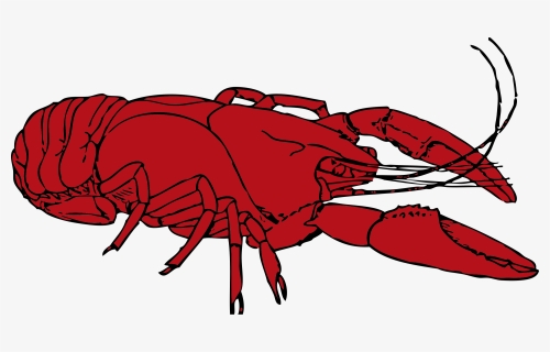Crustacean Marine Free Collection - Crawfish Clipart, HD Png Download, Transparent PNG