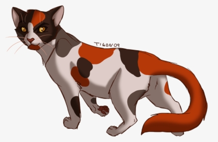 Calico Cat Clipart - Red And Black Warrior Cat, HD Png Download, Transparent PNG