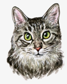 Cat Kitten Watercolor Painting Cuteness - Cat Painting Png, Transparent Png, Transparent PNG