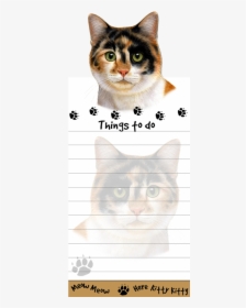 Calico Cat - Domestic Short-haired Cat, HD Png Download, Transparent PNG