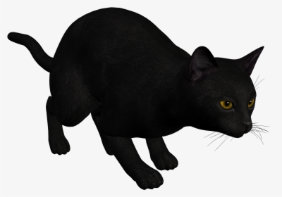 Cat Black Png Clipart Clipart Image - Draw A Cat Pouncing, Transparent Png, Transparent PNG