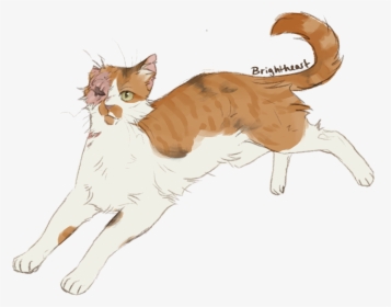 Tell Me Whatever You Want, But Brightheart Should Have - Drawing Calico Warrior Cat, HD Png Download, Transparent PNG