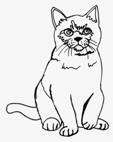 Cat Sketch Line Art Clip Arts - Cat Png Line Drawing, Transparent Png, Transparent PNG