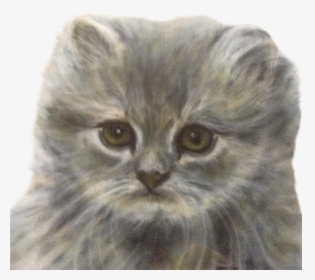 Drawn Kittens Persian Kitten - Domestic Long-haired Cat, HD Png Download, Transparent PNG
