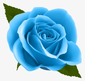 Blue Roses Png - Rose Clipart Png, Transparent Png, Transparent PNG