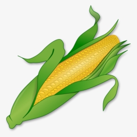 Corn Clipart Cob - Corn Clipart Transparent Background, HD Png Download, Transparent PNG