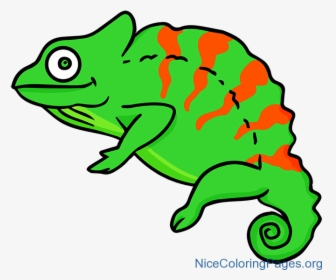 Free To Use Amp Public Domain Chameleon Clip Art - Chameleon Clipart Transparent Background, HD Png Download, Transparent PNG