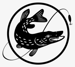 Northern Pike Stock Photography Fishing Baits & Lures - Pike Fish Silhouette, HD Png Download, Transparent PNG