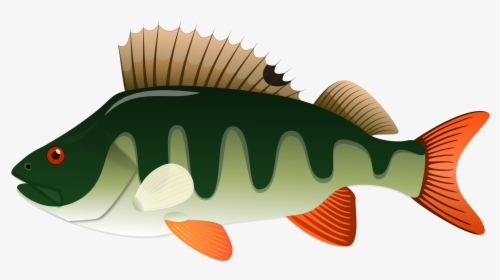 Northern Pike Yellow Perch Clip Art - Perch Clipart, HD Png Download, Transparent PNG