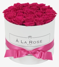 Orb Deluxe Hot Pink Roses, HD Png Download, Transparent PNG