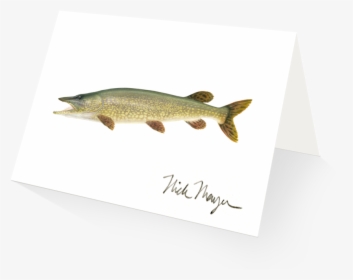 Northern Pike - Lunge, HD Png Download, Transparent PNG