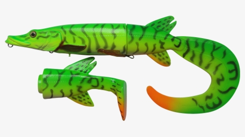 Transparent Eel Baby Green - Northern Pike, HD Png Download, Transparent PNG