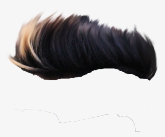 Png Hairstyle Transparent Hairstyle Images - Male Hair Png, Png ...