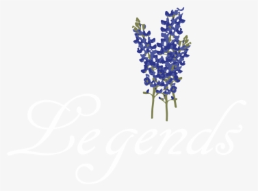 Lavender Body Jewellery Line Font - Transparent Bluebonnet Flower Bluebonnet Png, Png Download, Transparent PNG