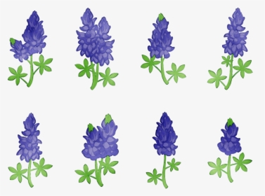 Bluebonnet Purple Lavender Cut Flowers Tree - Lupin, HD Png Download, Transparent PNG