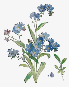 Bluebonnet Grasses Flowers Scorpion Cut Free Hd Image - Alpine Forget-me-not, HD Png Download, Transparent PNG