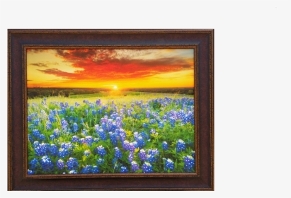 Sunny Days Of Blue Bonnets - Bluebonnets Texas Sunset, HD Png Download, Transparent PNG