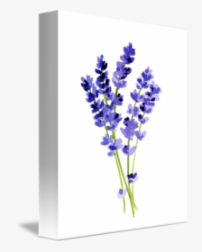 Transparent Hyacinth Png - Lavender Painting, Png Download, Transparent PNG