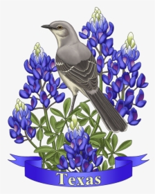 Texas State Mockingbird And Bluebonnet Flower, HD Png Download, Transparent PNG