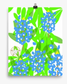 Flowers Clipart Bluebonnet - Illustration, HD Png Download, Transparent PNG