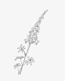 Bluebonnets Drawing Huge Freebie Download For Powerpoint - Line Art, HD Png Download, Transparent PNG