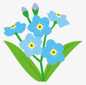 Forgetmenot Forget Me Nots - Forget Me Not Flower Clipart, HD Png Download, Transparent PNG