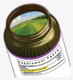 Circle, HD Png Download, Transparent PNG