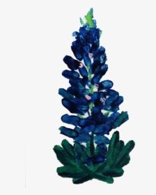 Bluebonnet, HD Png Download, Transparent PNG