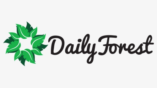 Dailyforest - Calligraphy, HD Png Download, Transparent PNG