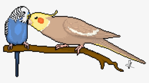 Pixel Parrots Budgie And - Bird Pixel Art Grid, HD Png Download, Transparent PNG