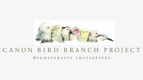 Canon Bird Branch Project - Lovebird, HD Png Download, Transparent PNG