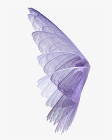 Wing Wingssticker Wings Perpel Bts Exo Ss501 Kard Hyuna, HD Png Download, Transparent PNG