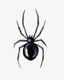 Spider Tattoo Png, Transparent Png, Transparent PNG