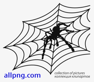 Spider Web Vector Png, Transparent Png, Transparent PNG